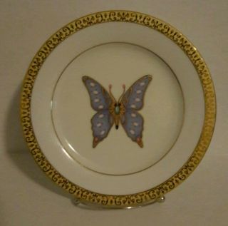 Gold Buffet By Royal Gallery:salad Plate 8 1/2 " - Blue Butterfly Gold Trim