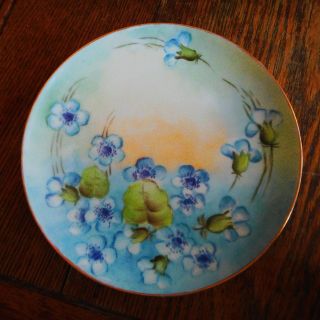 Vintage Haviland Limoges 7 5/8 " Hand Painted Cabinet Plate Blue Flowers - Signed