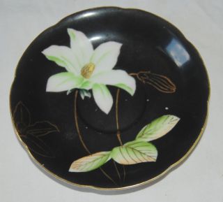 Vintage Princess China Tea Cup Saucer Black White Floral Flower Occupied Japan 4