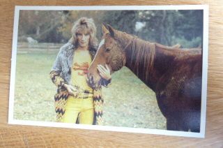 Rod Stewart Barratt Pop Stars Postcard 1980