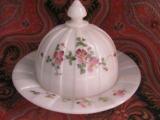 Vintage Antique White Milk Glass Covered Cheese - Butter Dish Hp Violets.