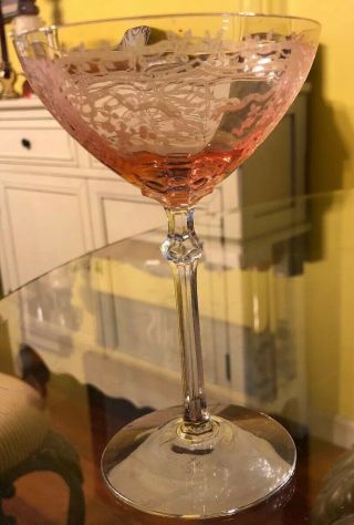 Fostoria Pink To Clear Champagne Wine Glass June Pattern Etched Flowers