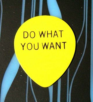 Richard Marx // Tommy Williams Tour Guitar Pick // Do What You Want