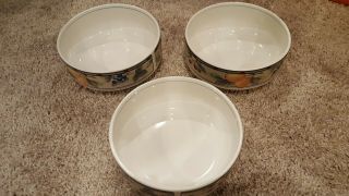 Set Of 3 Mikasa Intaglio Garden Harvest Cereal Soup Bowls 6 3/8 " Wide