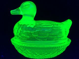 Green Vaseline Glass Duck On Nest Basket Candy Dish Uranium Farm Egg Neon Butter