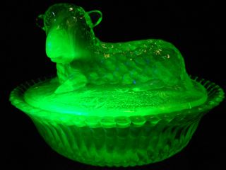 Green Vaseline Glass Lamb Sheep On Nest Basket Candy Butter Dish Uranium Animal