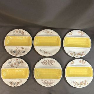 Marx & Gutherz Carslbad Austria Set Of 6 Divided 9.  5 " Plates Floral Pattern