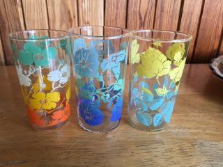 6 Vintage Swanky Swigs Drinking Glass Mcm Tumbler Juice Glass Flowers Floral