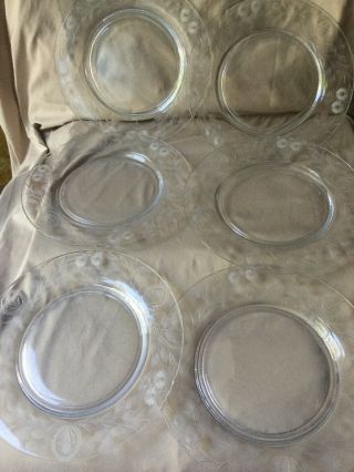 Six Antique Gray Cut Engraved Crystal Glass Plates Floral Motif Rock Crystal 5