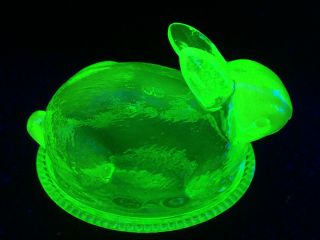 Green Vaseline glass bunny rabbit uranium nest basket dish easter candy / butter 3
