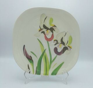 Red Wing Pottery Iris Dinner Plate Vtg 1940s Hand Painted 10.  5 "