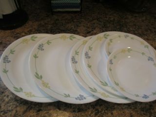 Set Of 4 Corelle Secret Garden Dinner Plates 10 1/4 " & 2 Dessert Plates 6 3/4
