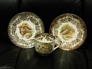 Vintage Royal Worcester Palissy Game Series Cup And 2 Saucers
