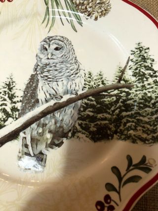 Better Homes & Gardens WINTER FOREST Snow Owl Salad Plate.  EUC 3