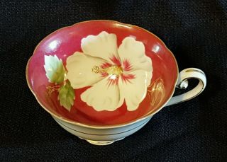 Vintage Trimont China Tea Cup White Hibiscus Flower Made In Occupied Japan