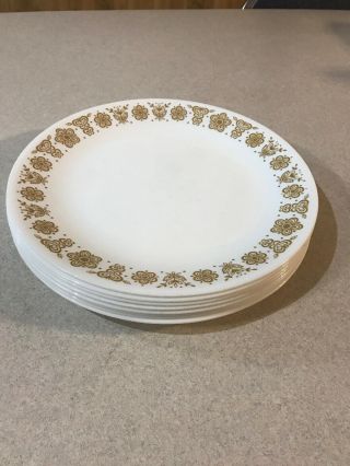Vintage 8 Pc Corelle Butterfly Gold Dinner Plates 10 1/8” Conditn