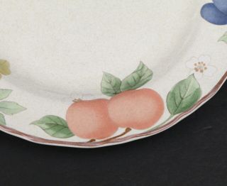 Mikasa Country Classics Fruit Panorama Set of 4 Salad Lunch Plates 8 1/2 