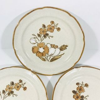 5 Vtg Autumn Fair Baroque Hearthside Stoneware Japan Brown Floral Retro Plates