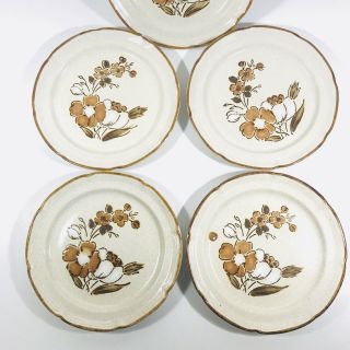 5 Vtg Autumn Fair Baroque Hearthside Stoneware Japan Brown Floral Retro Plates 3