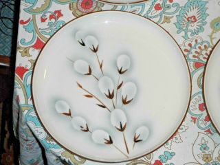 WINFIELD WARE PUSSYWILLOW DINNER PLATES SET OF 4 3