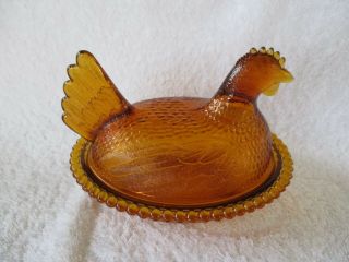 Indiana Glass Hen On Nest Amber Bead Trim Glass Bottom 7 " L 5 1/2 " W Tp On 5 " T