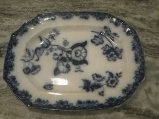 Large Serving Platter 1840 - 1870 Flow Blue - Morning Glory Glories Pattern