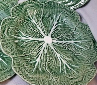 Large Bordallo Pinheiro Green Cabbage Leaf 12.  5 " Dinner Plate Portugal Servin