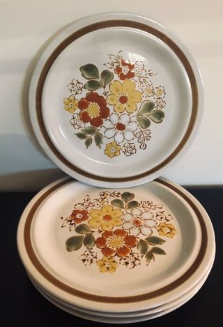 Vintage 70’s Hand - Painted Stoneware Dinner Plate Set Of 4