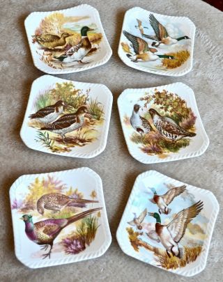 Royal Adderley Floral Bone China - England - Game Bird Tidbit Dish - Set Of 6