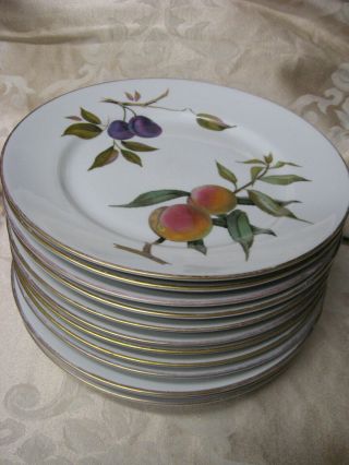 Vintage Royal Worcester Evesham Gold Dinner Plates 10 - 1/2 " (11 Available)