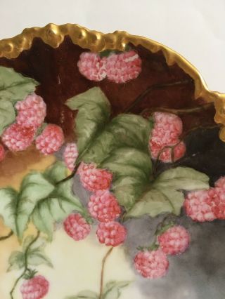 Vintage Jean Pouyat Limoges J.  P.  L.  France Hand Painted - Berries/Fruit Gold Edge 3