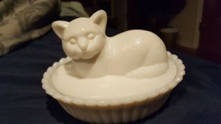 Vintage Westmoreland White Milk Glass Kitty Cat In Basket Covered Box Dish Nest