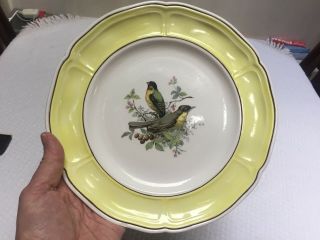 Vintage Mt.  Clemens Petal 10 " Plate In Yellow With Bird Decal