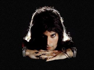 Freddie Mercury Unsigned 10 " X 8 " Photograph - A171 - Other Sizes Available