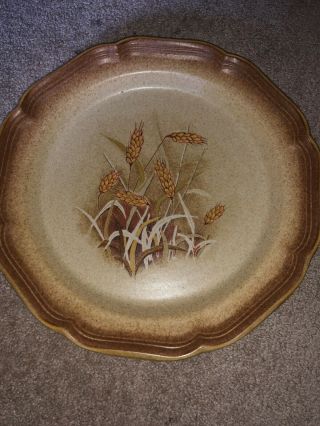 Mikasa Whole Wheat Granola Dinner Plates (4 Plates) 10 3/4”
