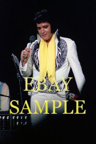Elvis Presley Concert Photo 2542 Huntsville,  Al 6 - 01 - 75 Evening