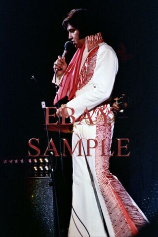 Elvis Presley Concert Photo 2302 Huntsville,  Al 5 - 31 - 75 Evening