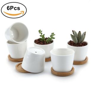T4u Pack 6 Ceramic White Round Succulent Planter Flower Pot With Tray 2.  5 Inch