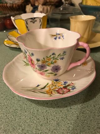 Shelley Wild Flowers (dainty) 13668 Tea Cup Saucer & Set Pink Trim Bone China