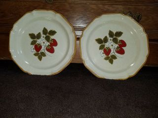Vintage Pair Mikasa Strawberry Festival 10.  5 " Dinner Plates Eb 801 Made In Japan