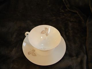 Vintage Rosenthal China " Classic Rose " By Raymond Loewry/cup & Saucer/excellent