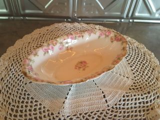 Chas Field Haviland Limoges France Head 117 - 2 Pattern Relish Dish Pink Floral