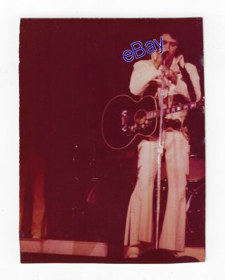 Elvis Presley Concert Photo - 1974 American Eagle - Jim Curtin Vintage