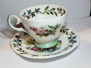 Queen Anne Royal Academy Fine Bone China England Floral Tea Cup & Saucer