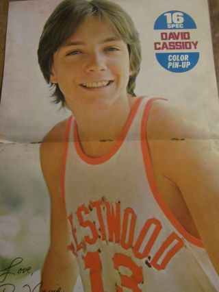 David Cassidy,  The Partridge Family,  Two Page Vintage Centerfold Poster