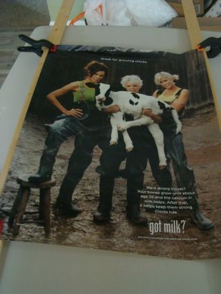 Dixie Chicks " Got Milk " Poster