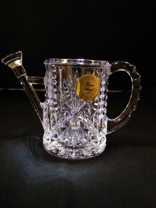 Princess House Crystal Watering Pitcher Decoration 24 Lead (a104)