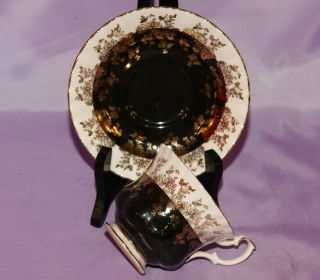 Royal Albert English Bone China Teacup Tea Cup & And Saucer Regal Series Black 2