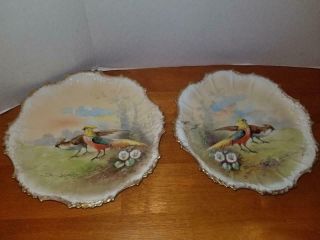 Set Of 2 Antique Limoges France Pheasant Bird Plates