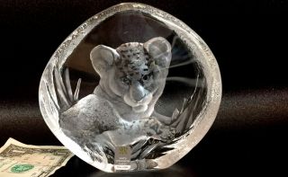 Mats Jonasson Lion Cub Signed Etched Lead Crystal Paperweight Made In Sweden